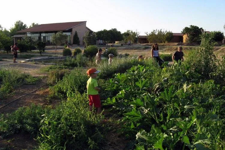 Camping Ecocamp Vinyols Catalogne - Vinyols i els Arcs visuel 2/9