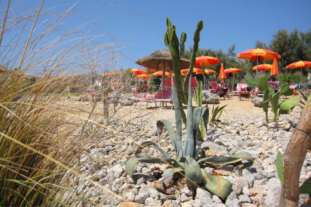 Camping - San Vito Lo Capo - Sicile - El Bahira Camping - San Vito Lo Capo - Sicile - El Bahira