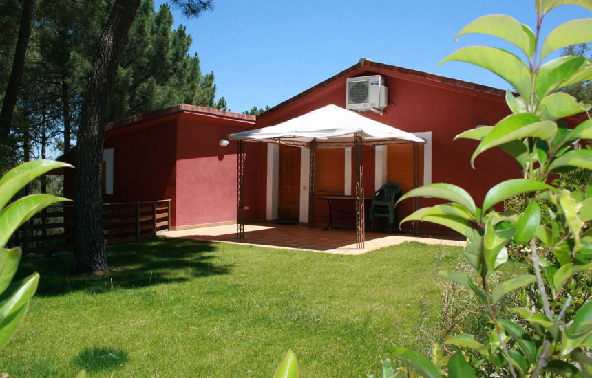 El Canto La Gallina Madrid - Valdemaqueda visuel 4/4 El Canto La Gallina Madrid - Valdemaqueda visuel 4/4