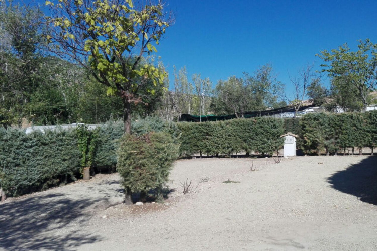 El Cantonet Andalousie - Albanchez de Mágina visuel 5/7