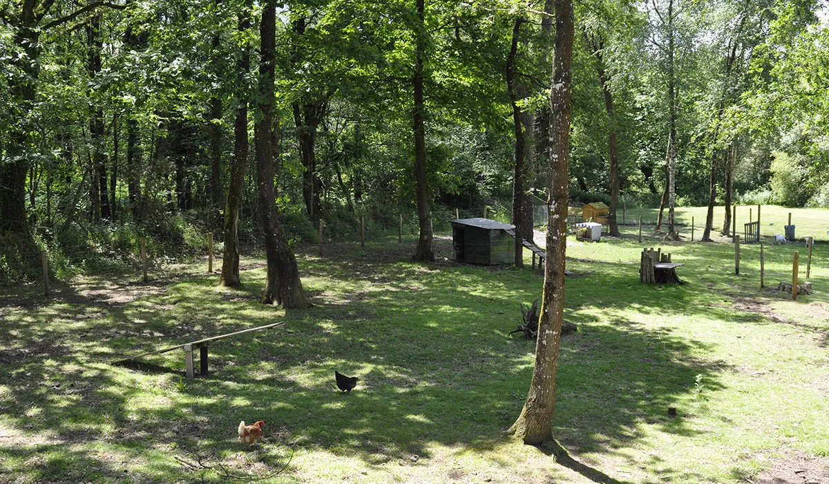 Camping Entre Terre et Mer Bretagne - Pont Scorff visuel 7/15