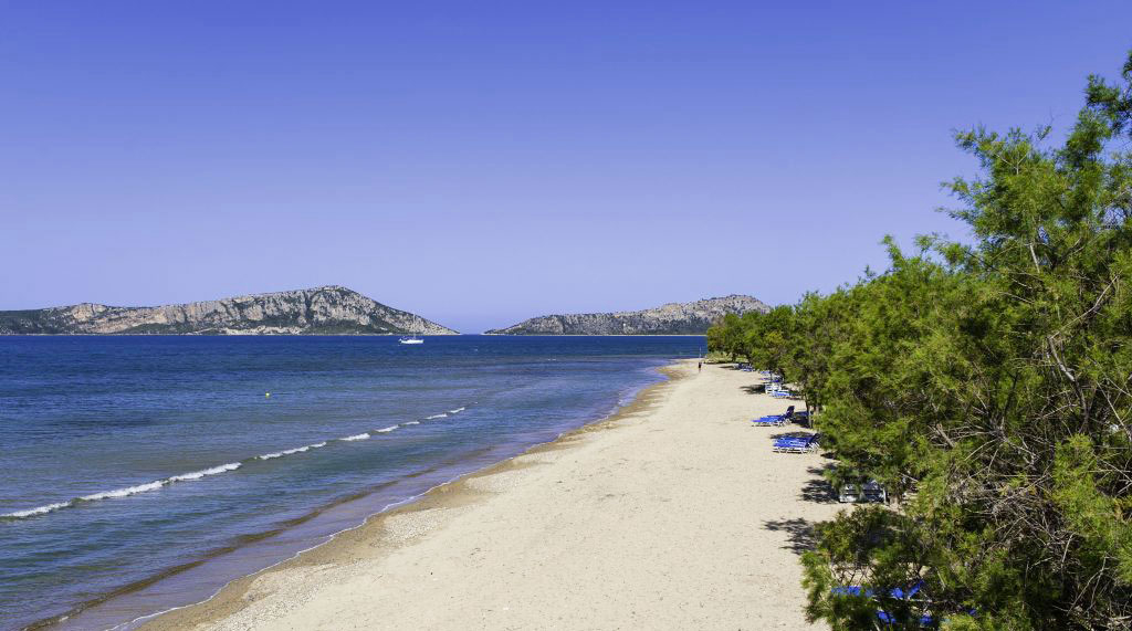 Erodios Péloponnèse - Pylos visuel 1/4