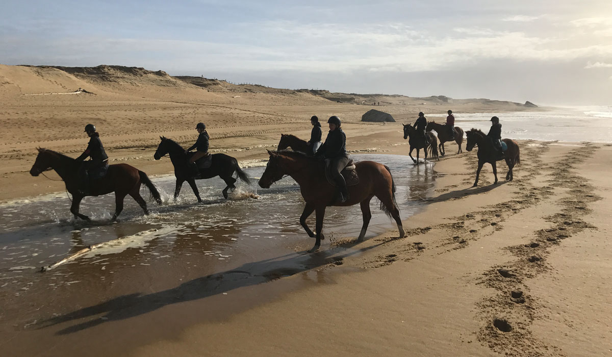 Espace Blue Océan Aquitaine - Ondres visuel 14/20