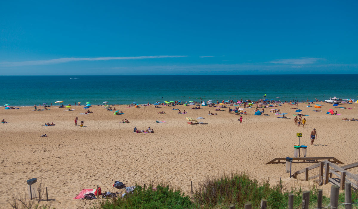 Espace Blue Océan Aquitaine - Ondres visuel 8/20