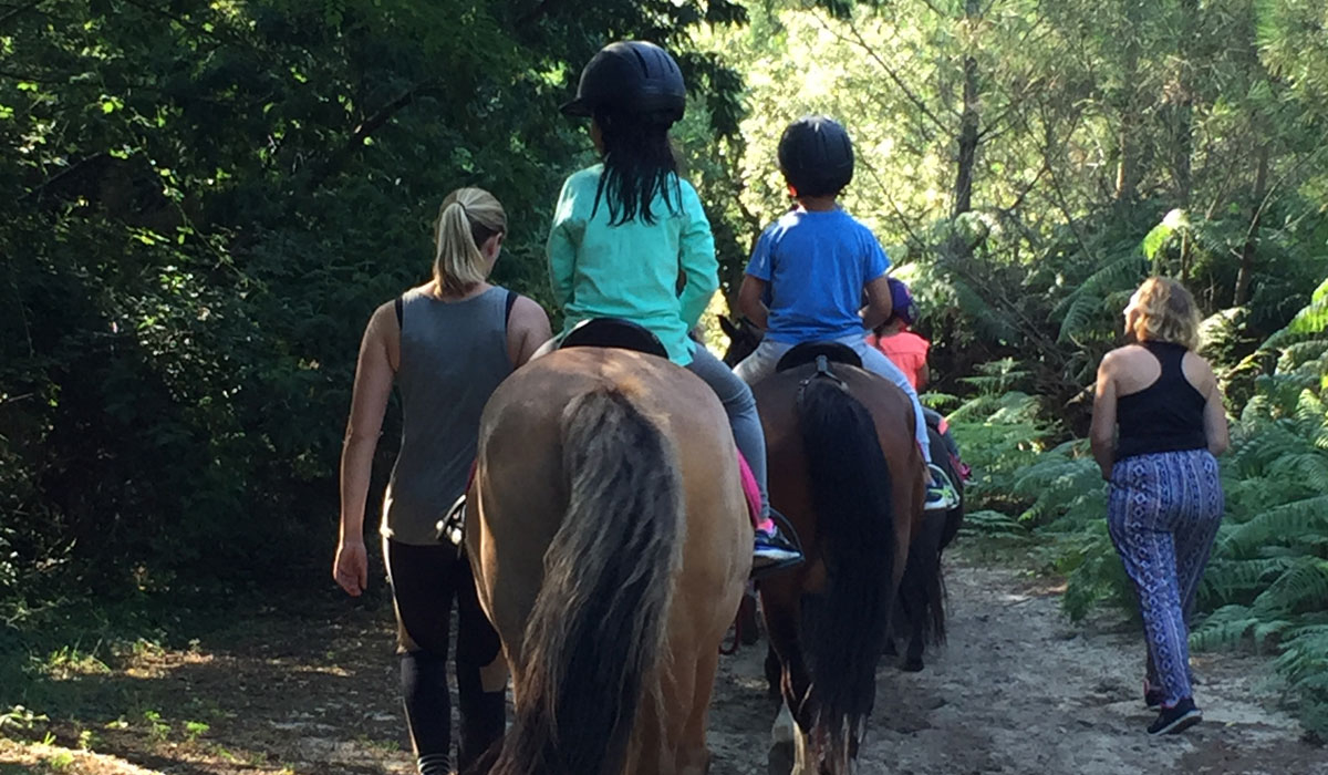 Espace Blue Océan Aquitaine - Ondres visuel 12/20