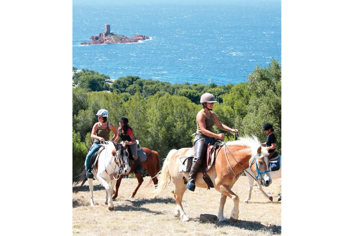 Camping Esterel Caravaning Provence-Alpes-Côte d'Azur - Agay visuel 9/16