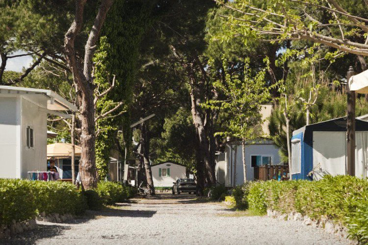 Estrella de Mar Catalogne - Castelldefels visuel 4/5 Estrella de Mar Catalogne - Castelldefels visuel 4/5