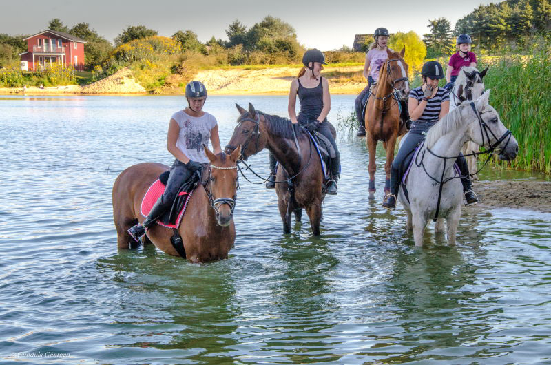 Ferienpark Geesthof Basse-Saxe - Hechthausen visuel 4/4