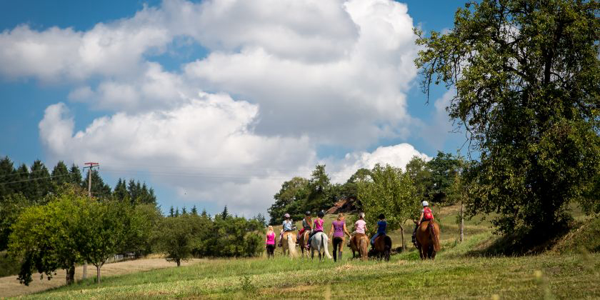 Ferienpark Teichmann Hesse - Vöhl visuel 4/5