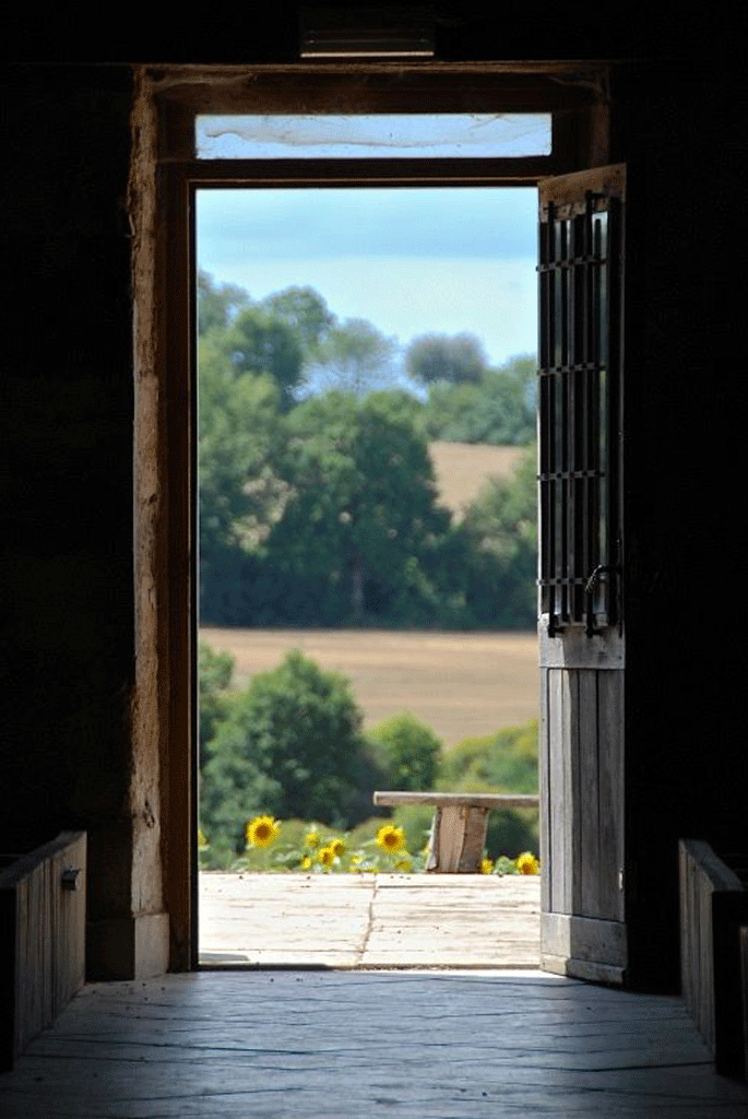 Ferme de Bonneblond Auvergne - Saint-Désiré visuel 4/4 Ferme de Bonneblond Auvergne - Saint-Désiré visuel 4/4