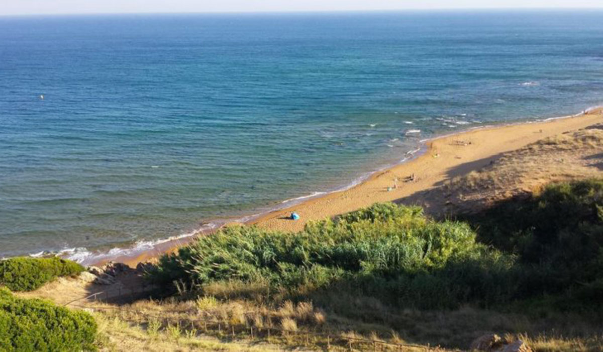 Fico d'India Calabre - Crotone visuel 1/1