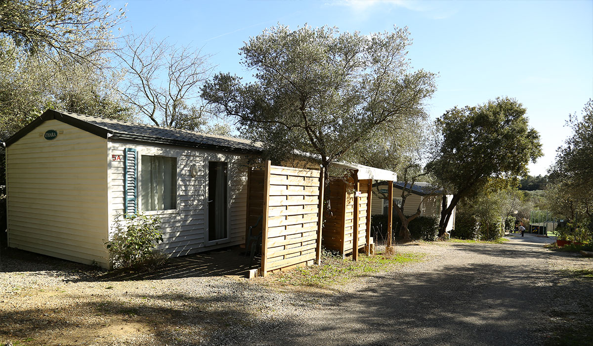 Fondespierre Languedoc-Roussillon - Castries visuel 10/20