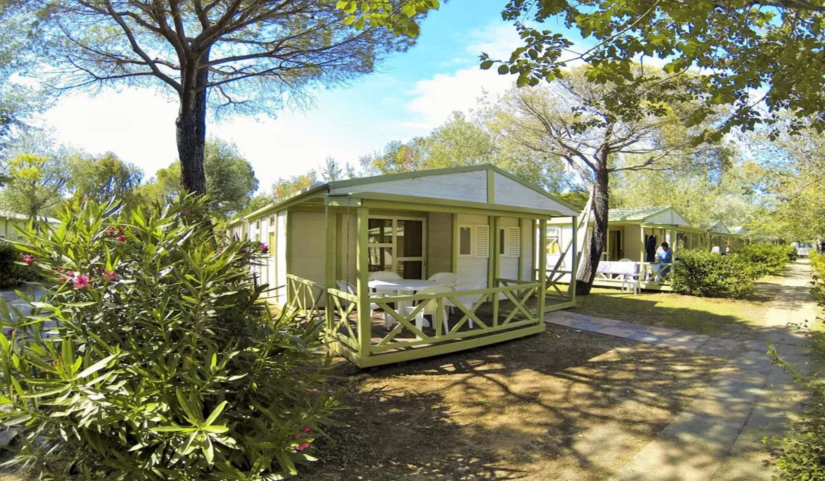 Camping Free Beach Toscane - Marina di Bibbona visuel 4/8