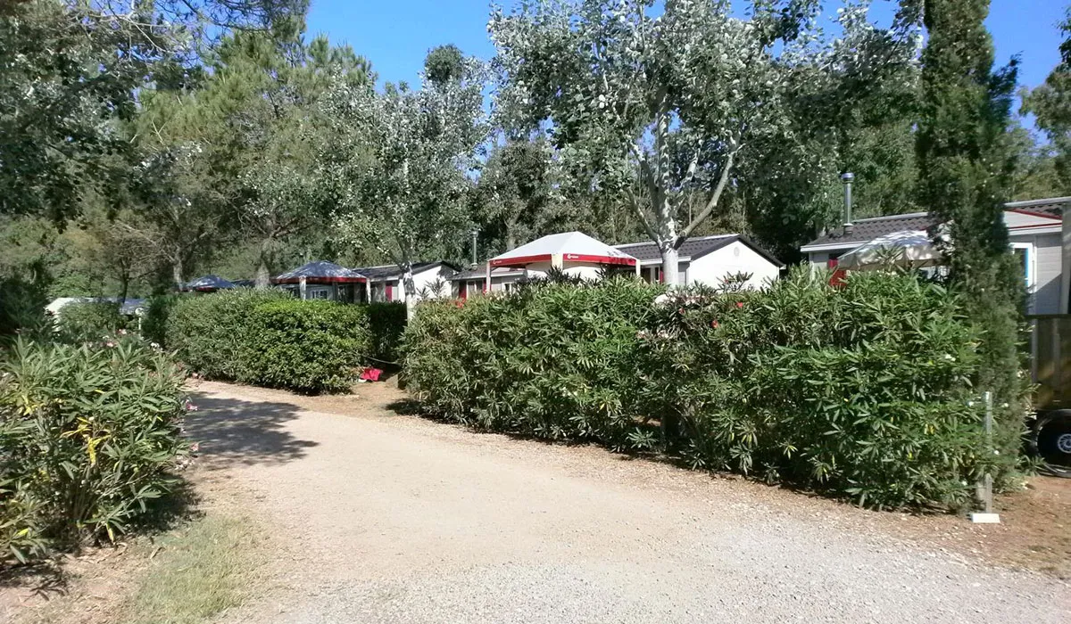 Camping Free Time Toscane - Marina di Bibbona visuel 11/13