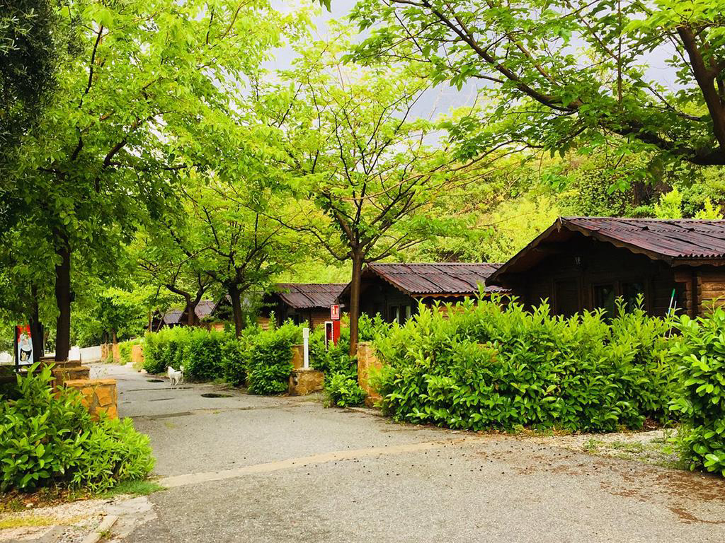 Fuente del Lobo Andalousie - Pinos Genil visuel 3/3