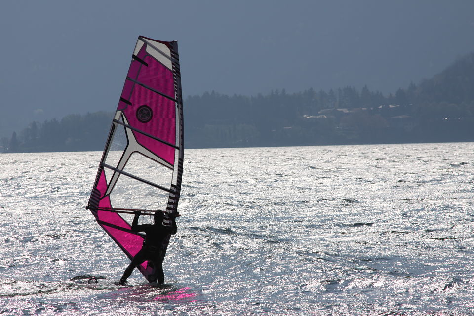 Gardenia Lombardie - Domaso visuel 2/5