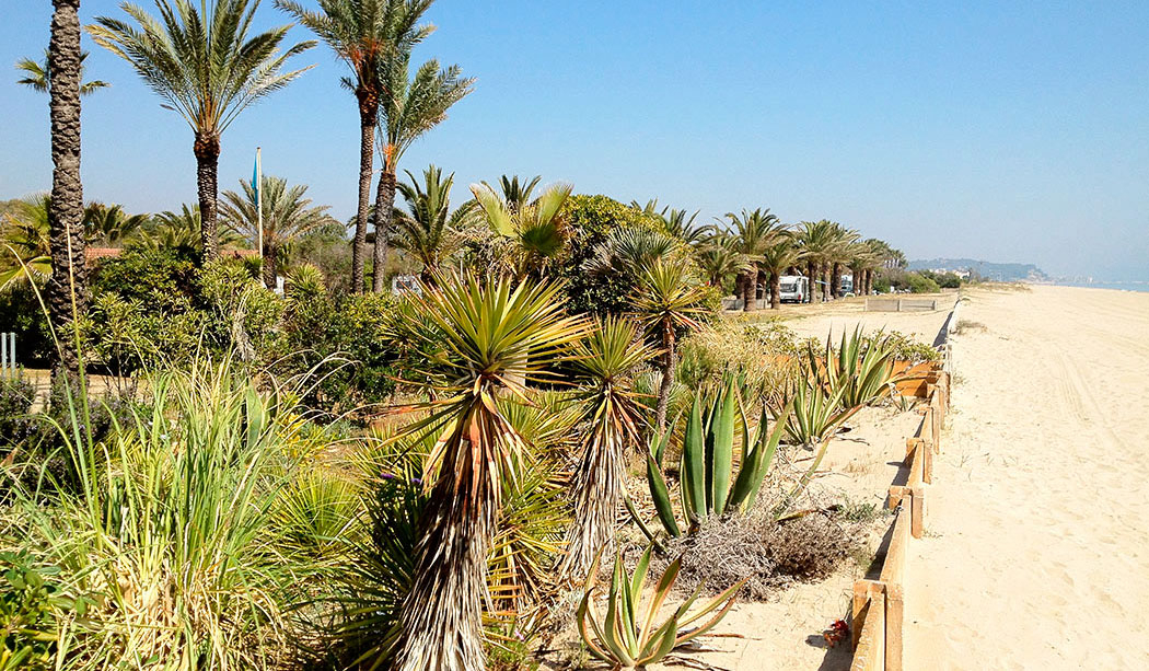 Gavina Costa Dorada - Creixell visuel 7/18