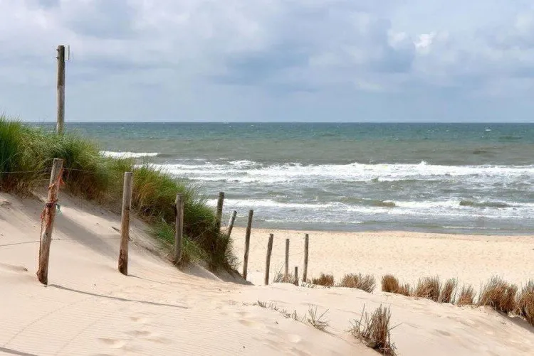 Camping Geversduin Hollande-Septentrionale - Castricum visuel 5/5