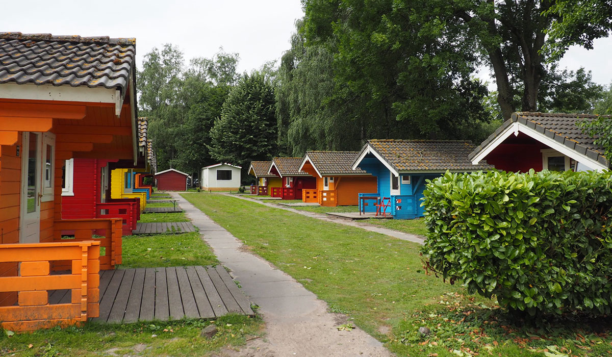 Het Amsterdamse Bos Hollande-Septentrionale - amsterdam visuel 2/2