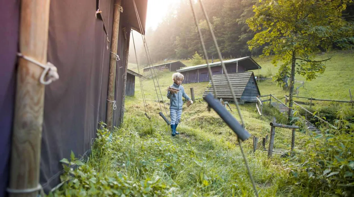 Camping Hilserhof Bade-Wurtemberg - Triberg im Schwarzwald visuel 2/6