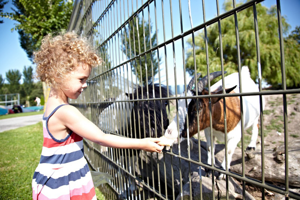 Hindeloopen Frise - Hindeloopen visuel 4/5 Hindeloopen Frise - Hindeloopen visuel 4/5