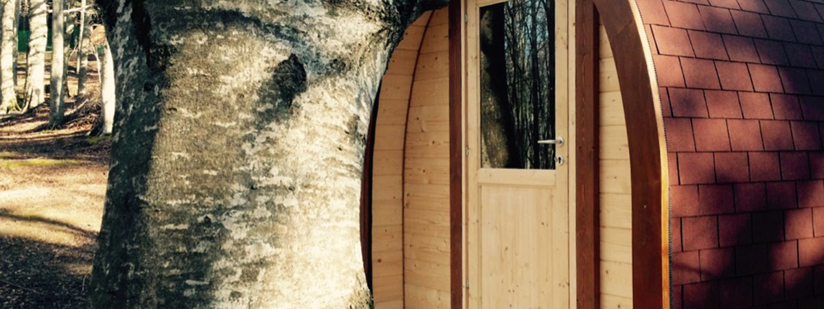 Il Ceppo Abruzzes - Teramo visuel 1/6