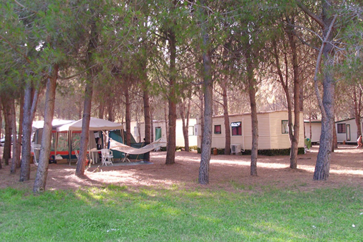 Iscrixedda Sardaigne - Lotzorai visuel 5/8