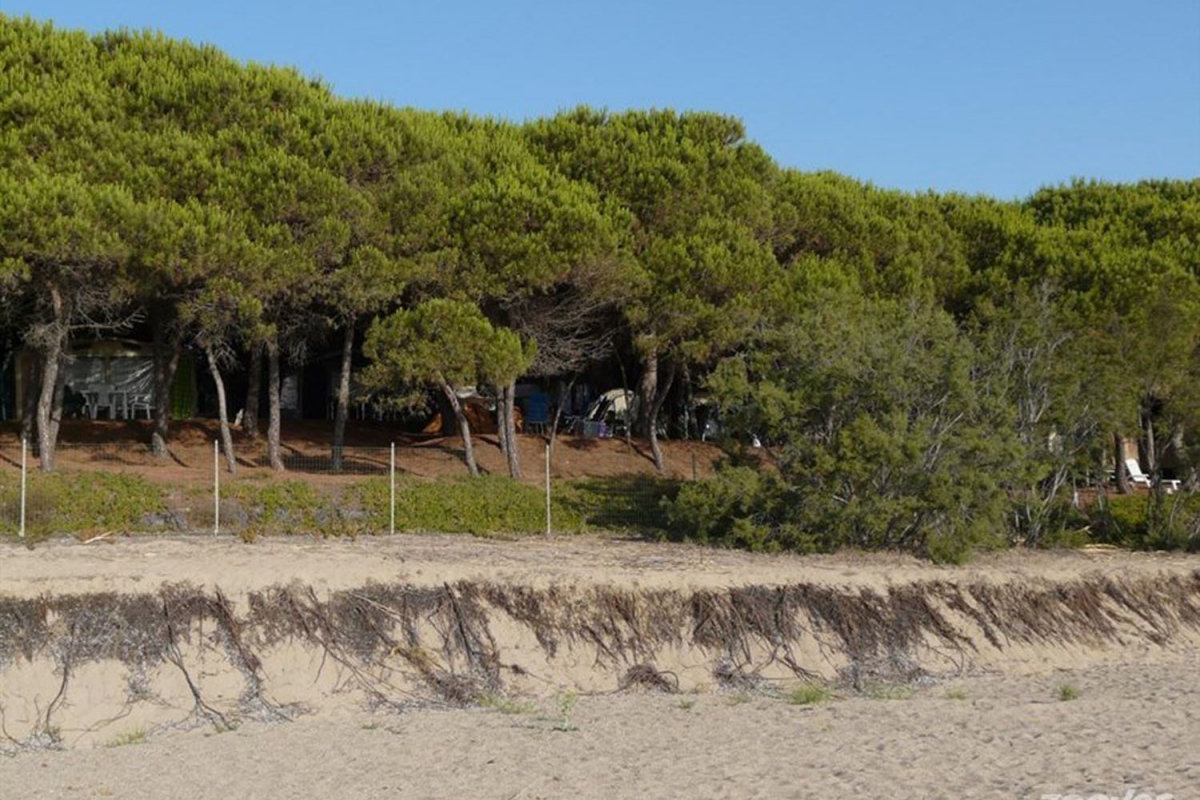 Iscrixedda Sardaigne - Lotzorai visuel 4/8