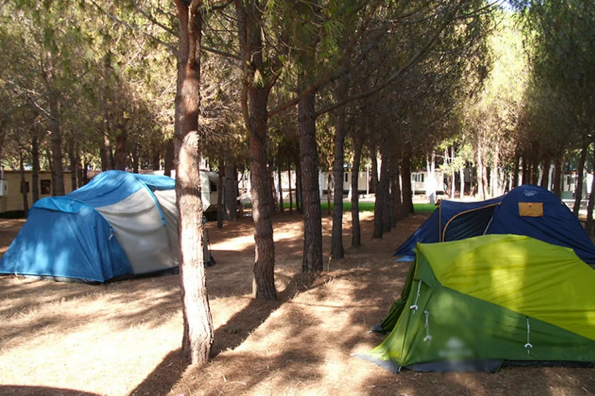 Camping Iscrixedda Sardaigne - Lotzorai visuel 6/8