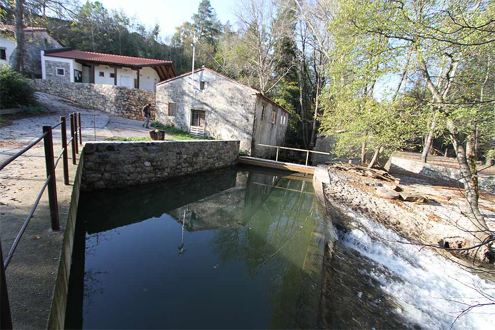 Kamp Dujceva Domacija Istrie slovène - Divača visuel 2/3