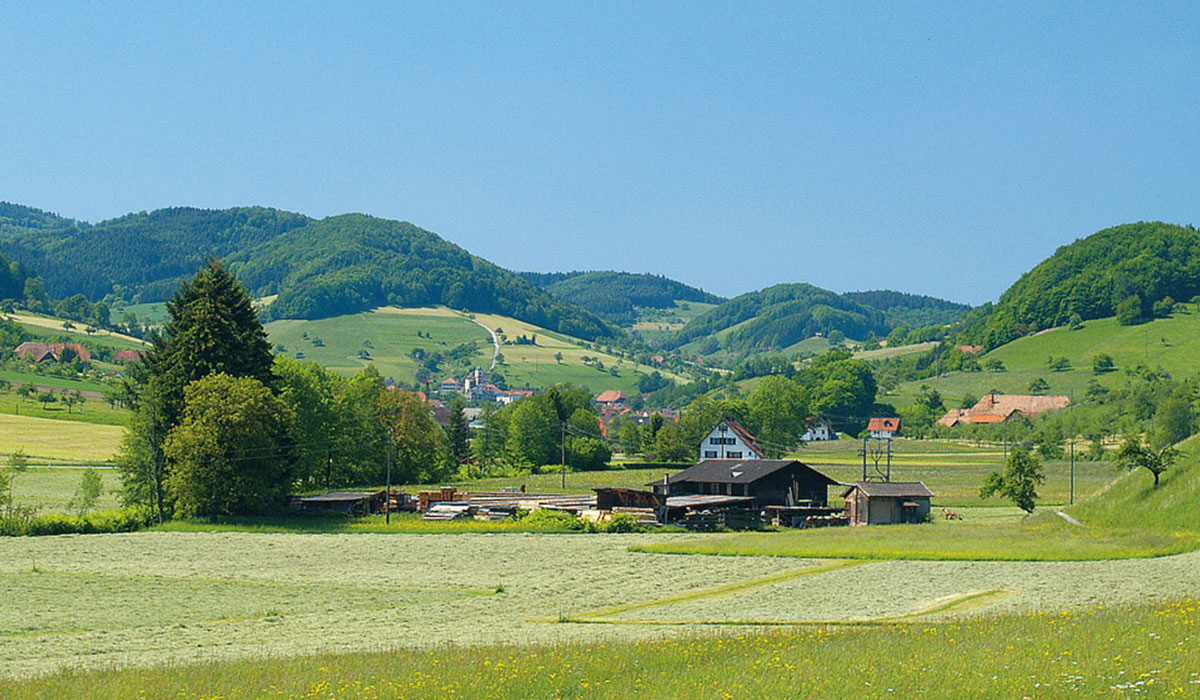 Kinzigtal Bade-Wurtemberg - steinach visuel 4/4 Kinzigtal Bade-Wurtemberg - steinach visuel 4/4