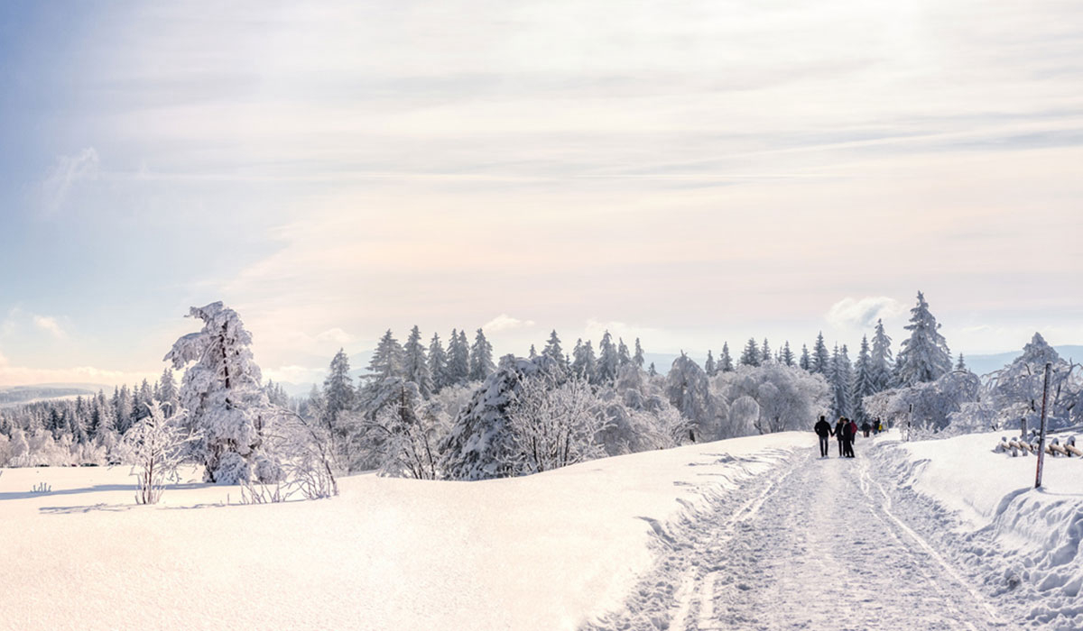 Kinzigtal Bade-Wurtemberg - steinach visuel 3/4 Kinzigtal Bade-Wurtemberg - steinach visuel 3/4