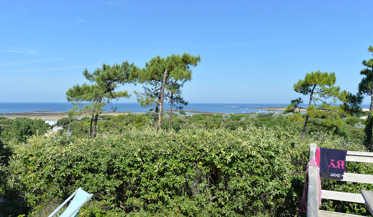 L'Anse des Pins Poitou-Charentes - Saint-Georges-d'Oléron visuel 8/24