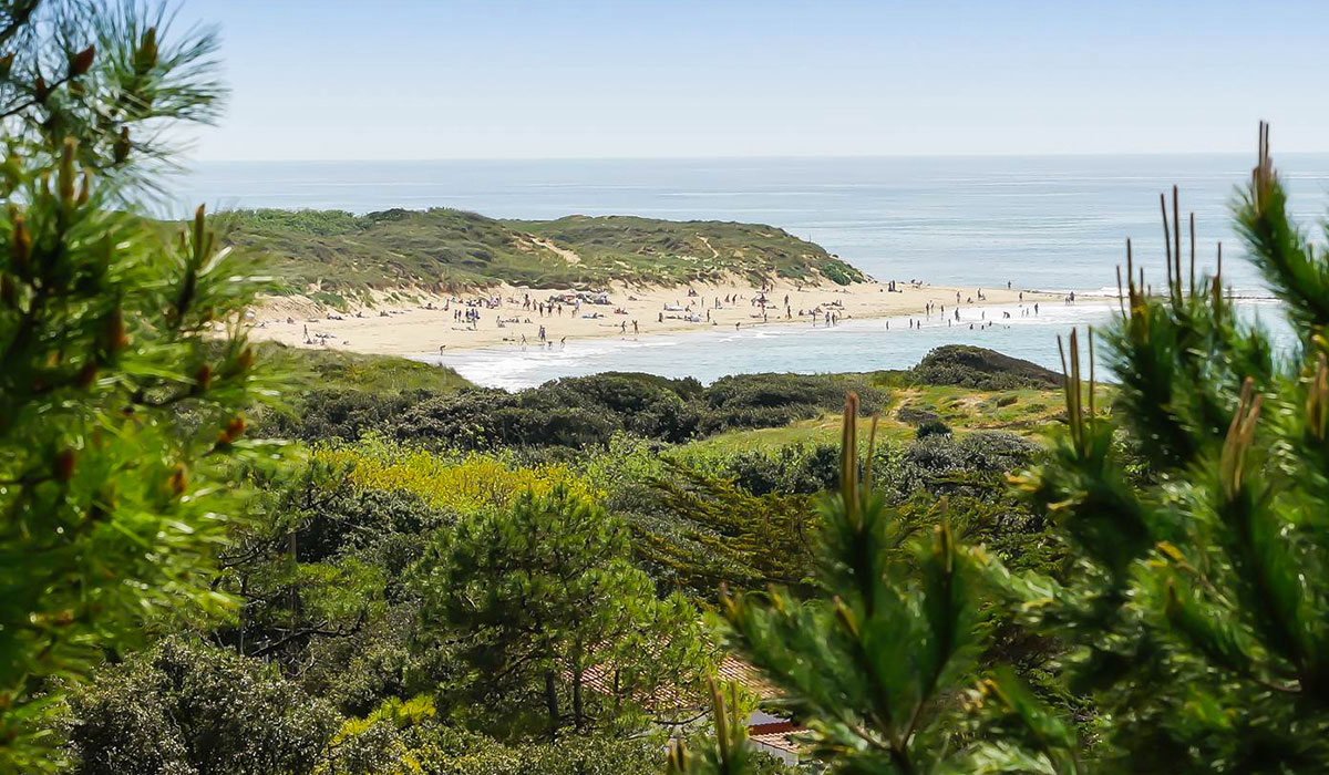 L'Anse des Pins Poitou-Charentes - Saint-Georges-d'Oléron visuel 22/24