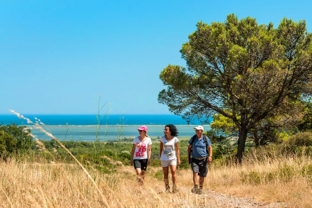 Camping Les Salins de la Gardiole Languedoc-Roussillon - Vic-la-Gardiole visuel 2/15