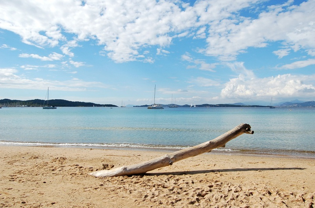 L'Ile d'Or Provence-Alpes-Côte d'Azur - Hyères visuel 3/25