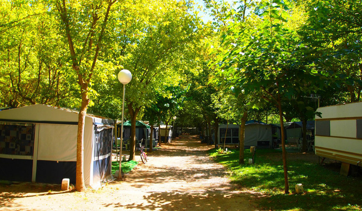 L'Illa Catalogne - Sant Quirze Safaja visuel 3/3