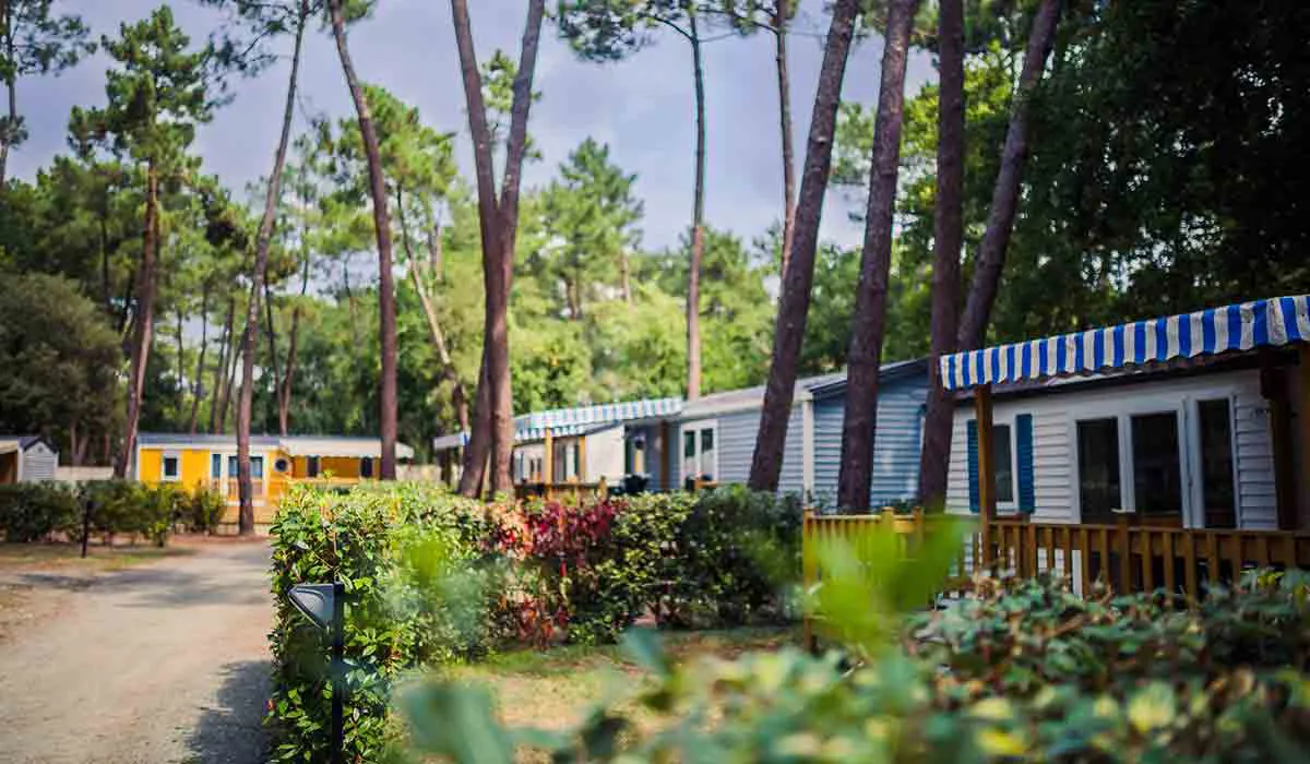 Camping L'Orée du Bois Poitou-Charentes - Les Mathes-La Palmyre visuel 10/28