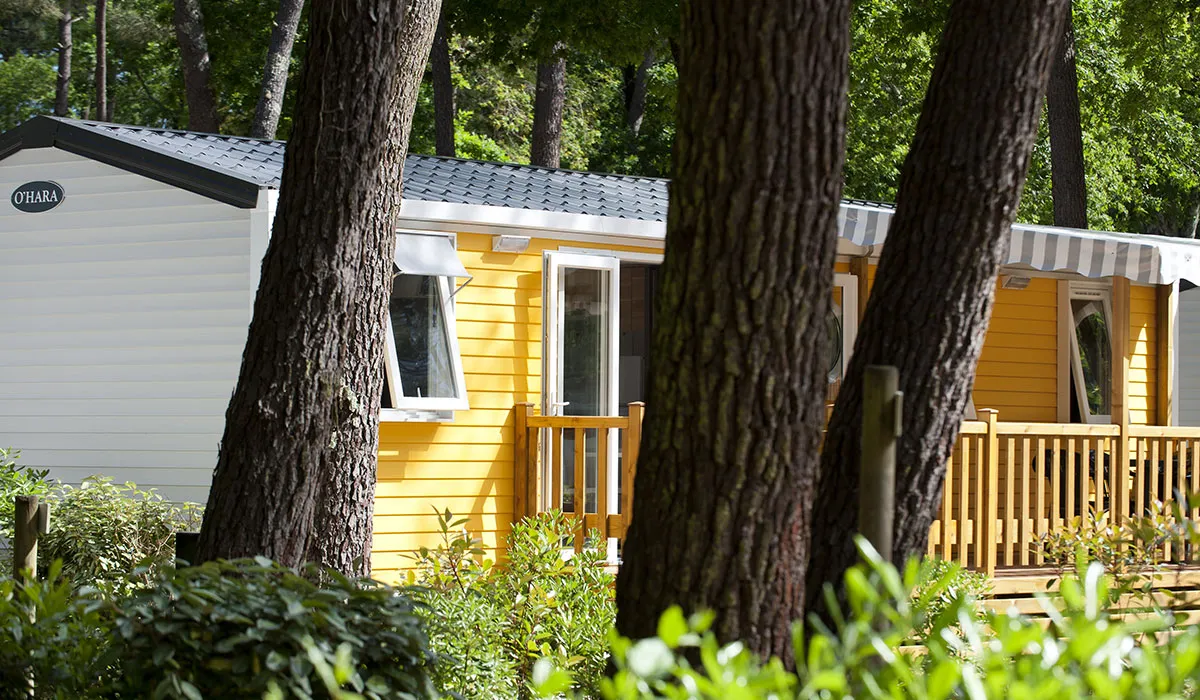Camping L'Orée du Bois Poitou-Charentes - Les Mathes-La Palmyre visuel 27/28