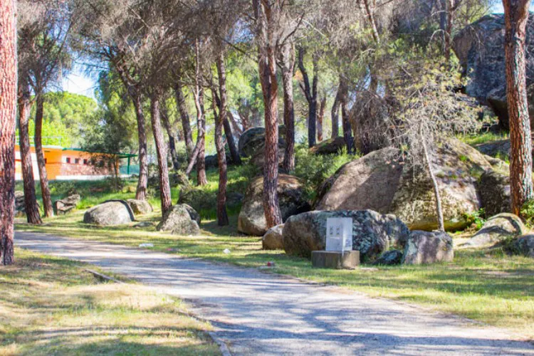 Camping La Ardilla Roja Madrid - San Martín de Valdeiglesias visuel 2/3