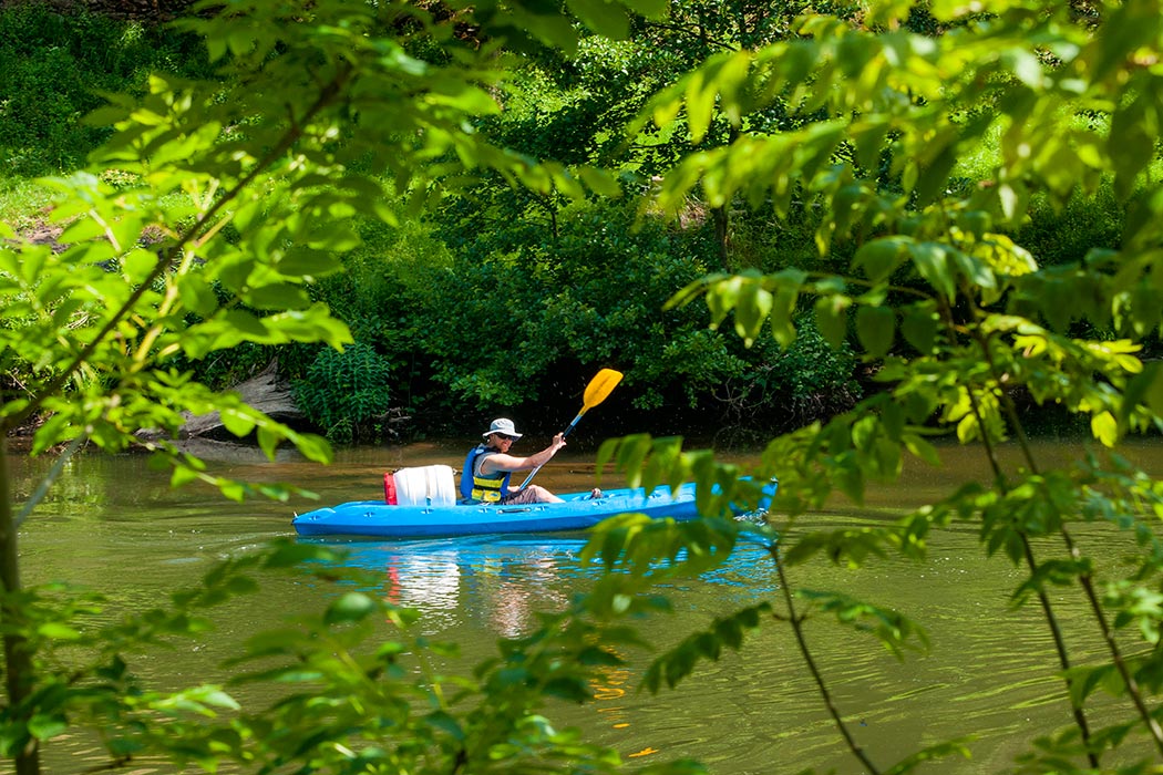 La Boissière Midi-Pyrénées - Saint-Geniez-d'Olt visuel 7/9
