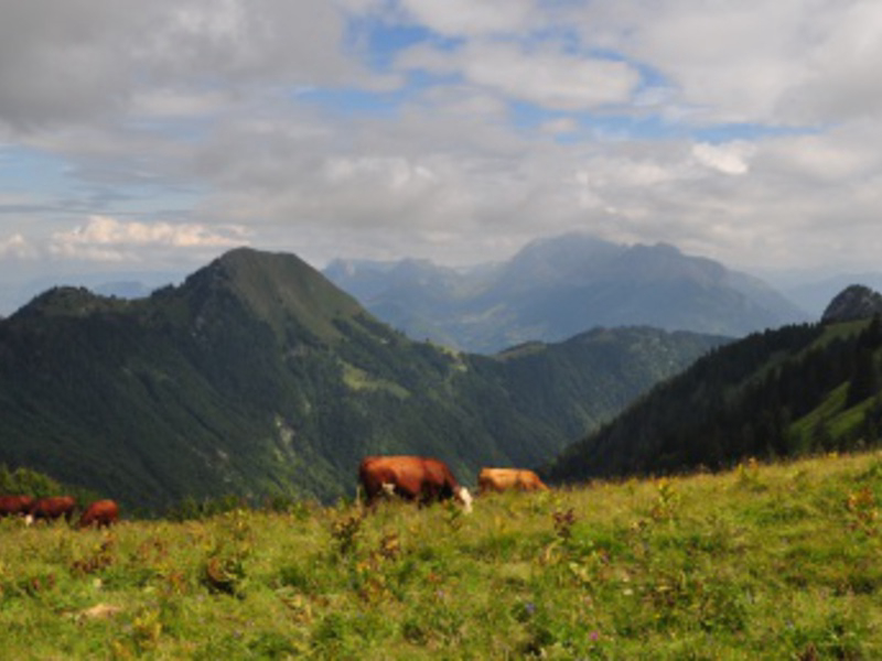 La Bruyere Rhône-Alpes - Saint-Jean-de-Couz visuel 6/6