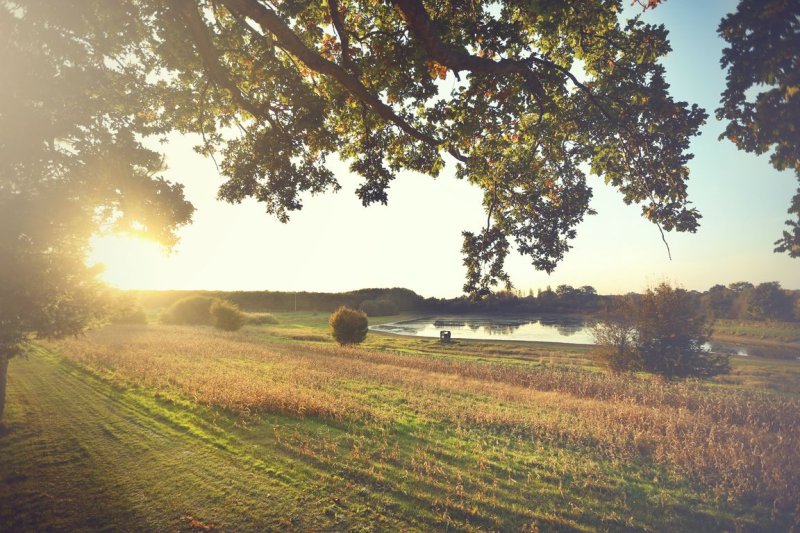 Domaine la Chouette Cabane Pays de Loire - Pommerieux visuel 13/18