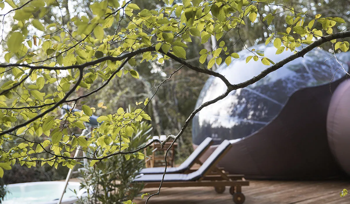 Camping La Chrysalide  Château de Saint-Martin - Aquitaine - Carcans visuel 2/6