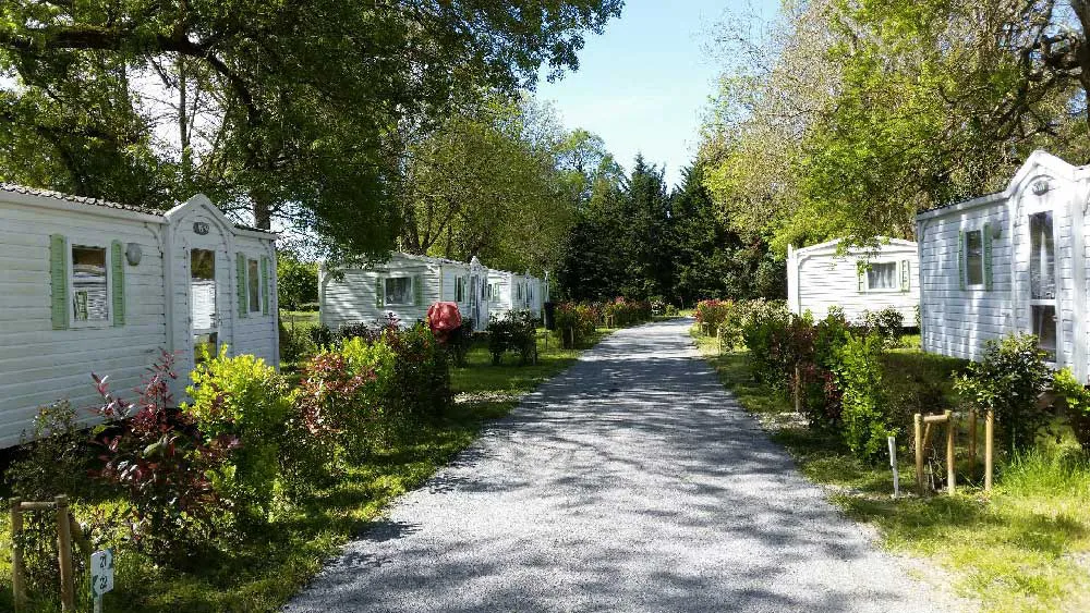 Camping La Cle Des Champs Poitou-Charentes - Arces visuel 4/6