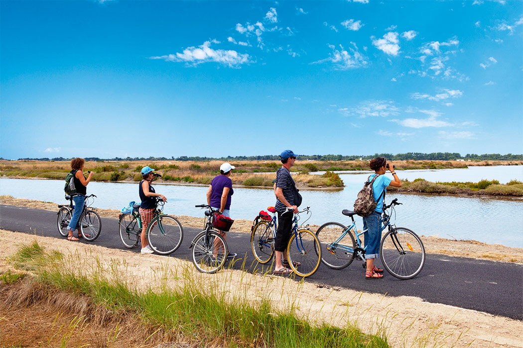 La Côte Sauvage Poitou-Charentes - Saint-Clément-des-Baleines visuel 1/17