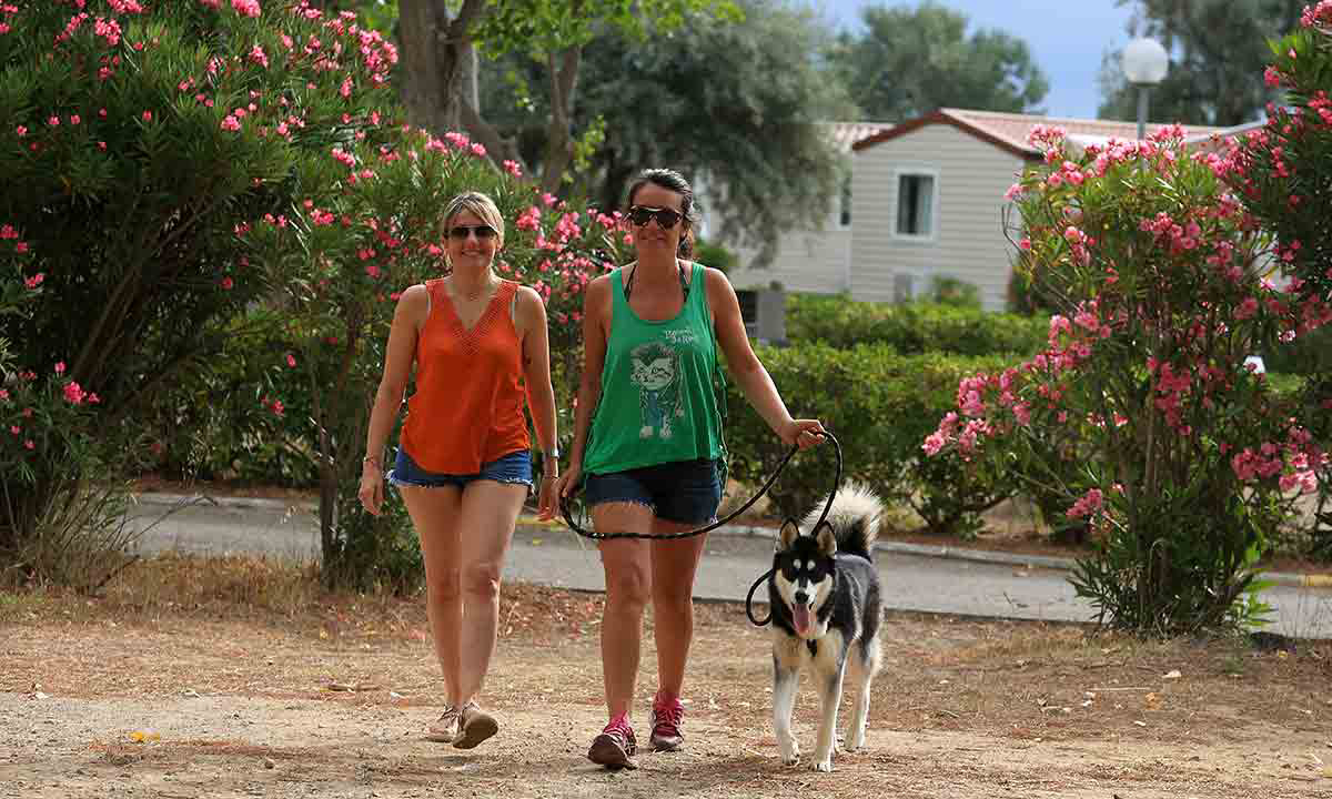 Campéole La Côte des Roses Languedoc-Rosellón - Narbonne-Plage visuel 34/52