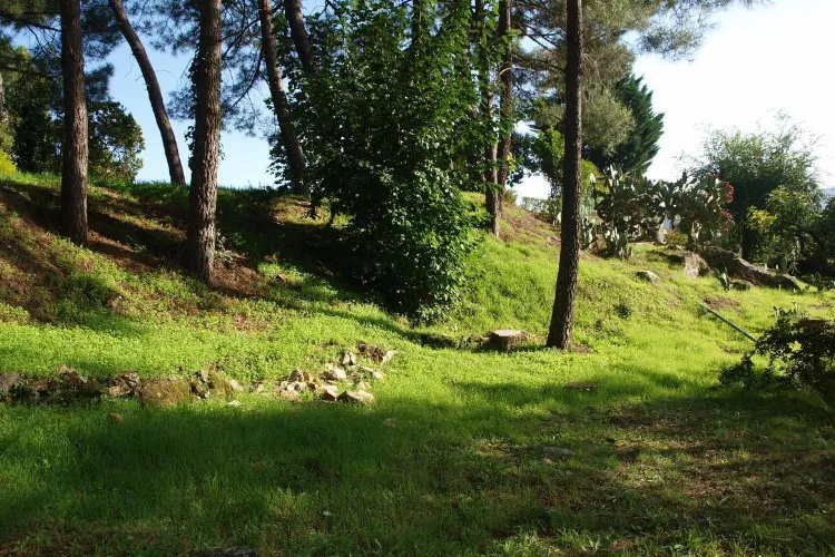 Camping La Eliza Castille-et-León - Lanzahíta visuel 8/8