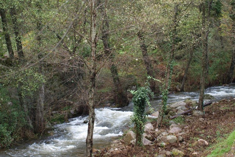 La Eliza Castille-et-León - Lanzahíta visuel 5/8