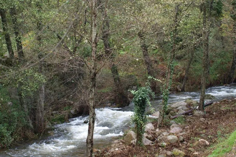 Camping La Eliza Castille-et-León - Lanzahíta visuel 5/8